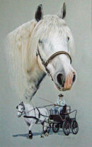 "Jack The Lad" Driving Pony